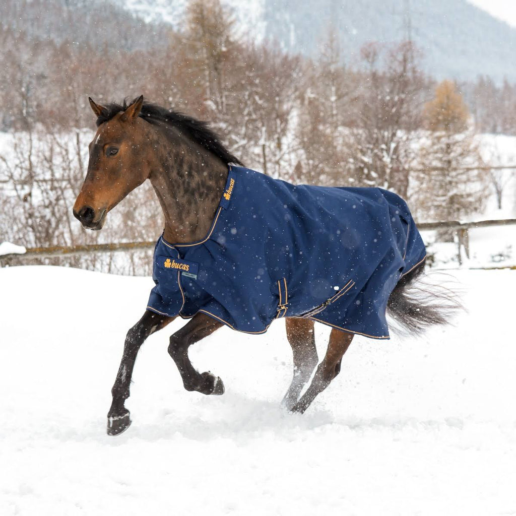 Navy Irish Turnout Extra D137450