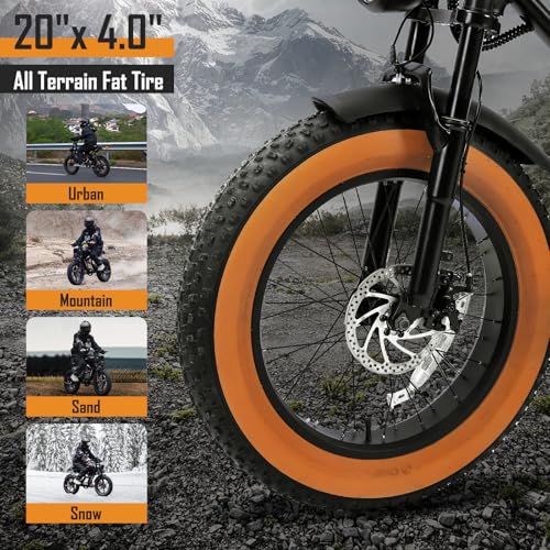 1000W 20" Fat Tire Electric Bike Z304