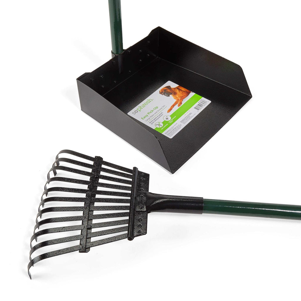 Dog Rake & Scoop Set F9621